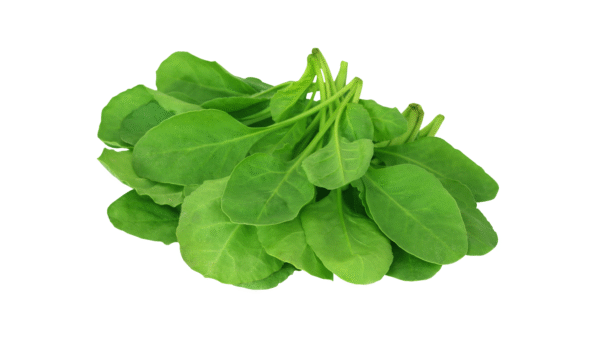 Sayur Bayam