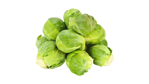 Sayur Kubis