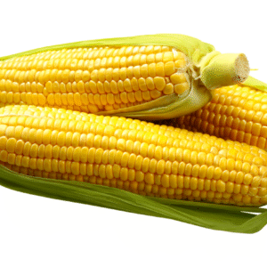 Jagung Manis